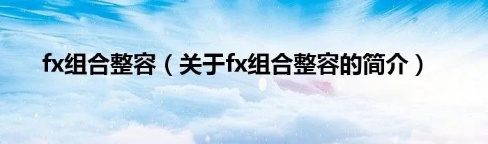 fx组合整容(关于fx组合整容的简介)