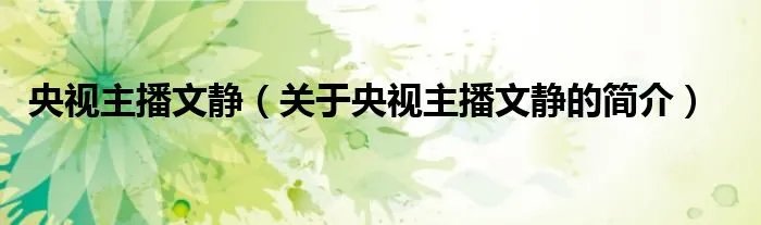 央视主播文静（关于央视主播文静的简介）