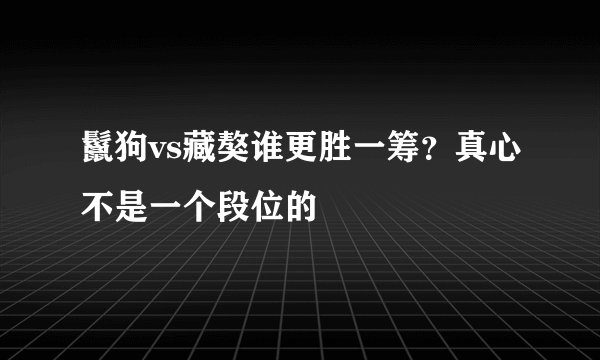 鬣狗vs藏獒谁更胜一筹？真心不是一个段位的