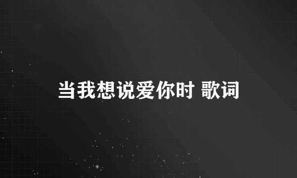 当我想说爱你时 歌词