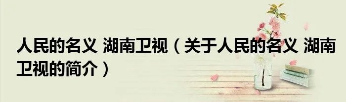 人民的名义 湖南卫视（关于人民的名义 湖南卫视的简介）
