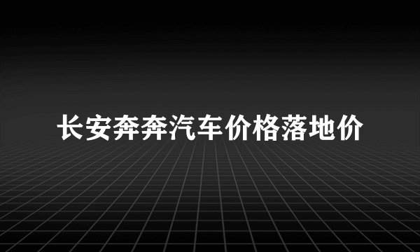 长安奔奔汽车价格落地价