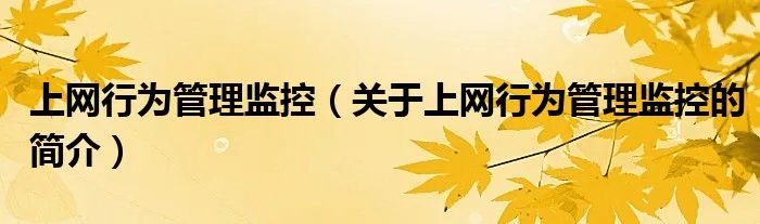 上网行为管理监控（关于上网行为管理监控的简介）