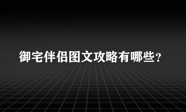 御宅伴侣图文攻略有哪些？
