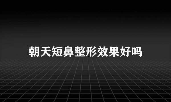 朝天短鼻整形效果好吗