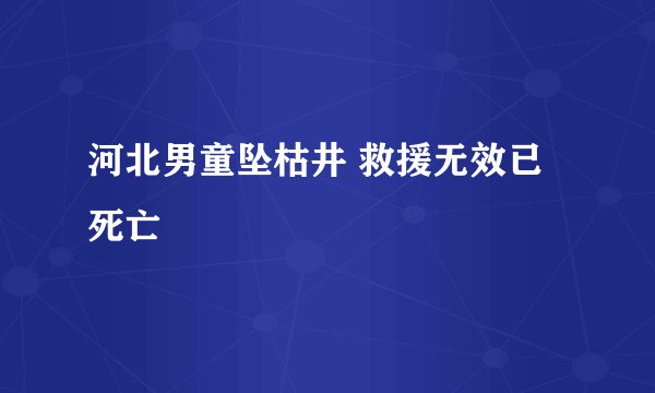 河北男童坠枯井 救援无效已死亡