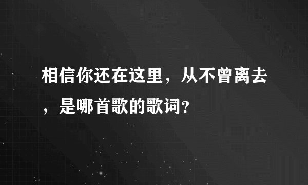 相信你还在这里，从不曾离去，是哪首歌的歌词？