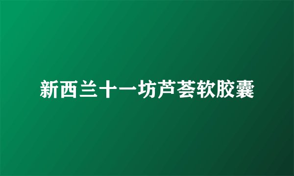 新西兰十一坊芦荟软胶囊