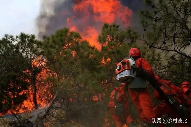 西昌山火为什么会死这么多人？