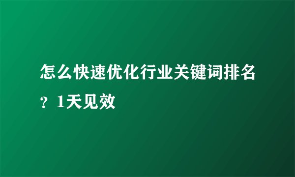 怎么快速优化行业关键词排名？1天见效