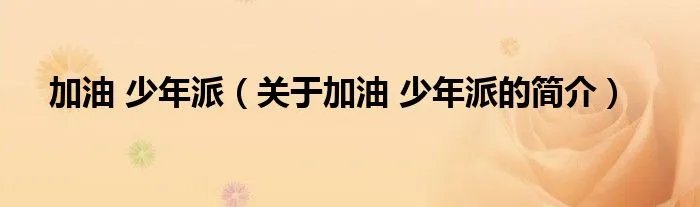 加油 少年派（关于加油 少年派的简介）
