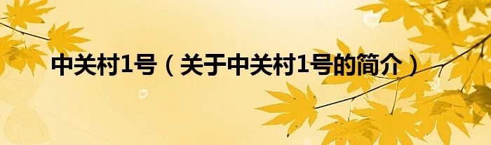 中关村1号(关于中关村1号的简介)