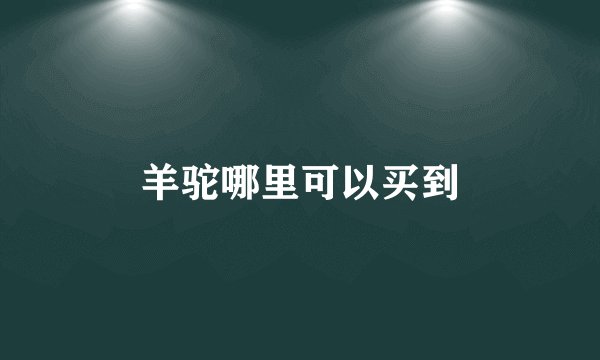 羊驼哪里可以买到