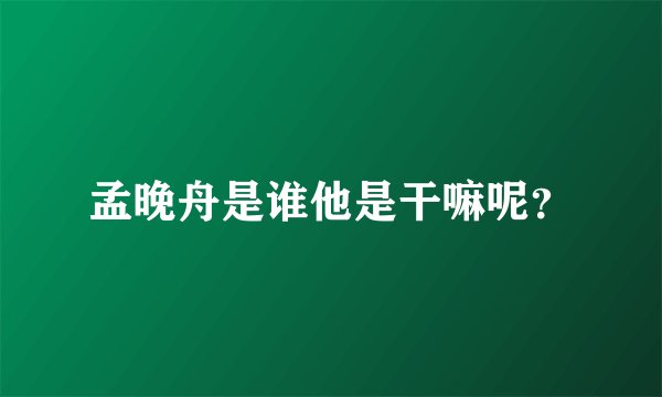 孟晚舟是谁他是干嘛呢？