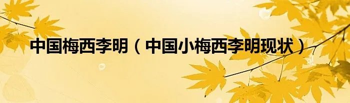 中国梅西李明（中国小梅西李明现状）