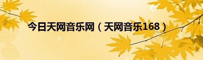 今日天网音乐网（天网音乐168）