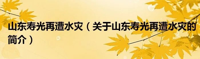 山东寿光再遭水灾（关于山东寿光再遭水灾的简介）