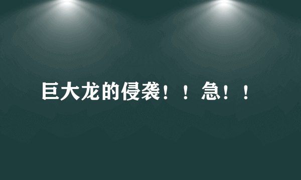 巨大龙的侵袭！！急！！