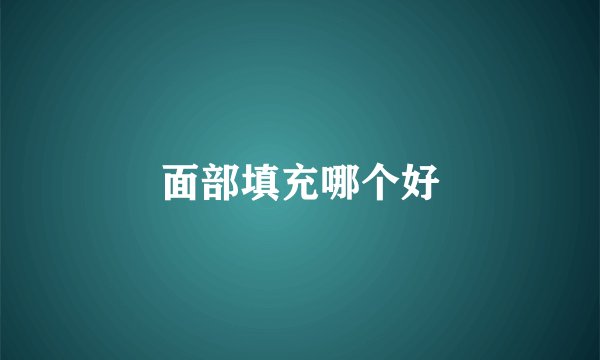 面部填充哪个好