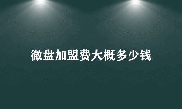 微盘加盟费大概多少钱