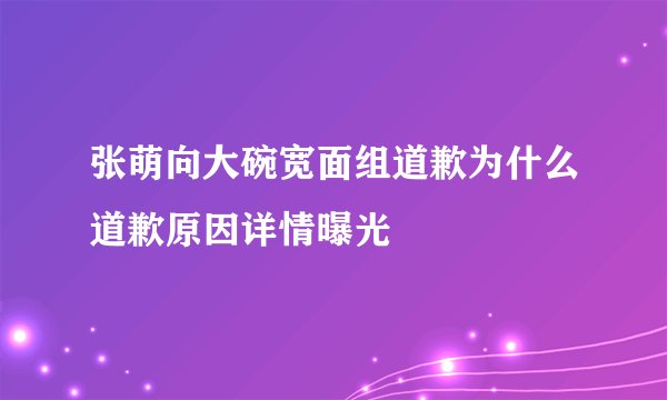 张萌向大碗宽面组道歉为什么道歉原因详情曝光