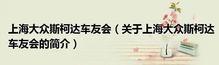 上海大众斯柯达车友会（关于上海大众斯柯达车友会的简介）