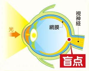 科学家发现：人类进化到现在，身体还存在7个缺陷，你知道几个？