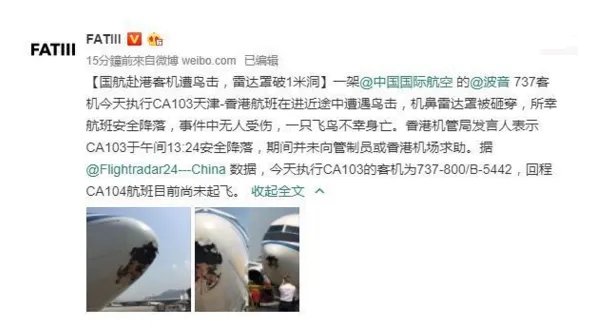 一国航赴港客机遭鸟击事件有最新消息了吗?