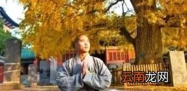 如何入定修炼，如何打坐入定