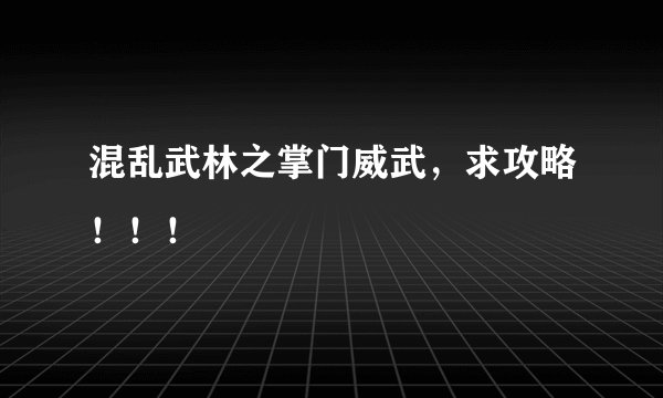 混乱武林之掌门威武，求攻略！！！