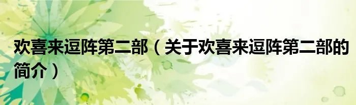 欢喜来逗阵第二部（关于欢喜来逗阵第二部的简介）