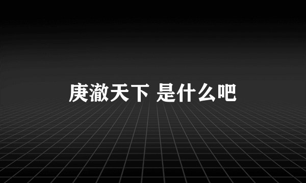 庚澈天下 是什么吧