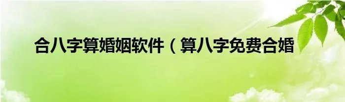 合八字算婚姻软件（算八字免费合婚