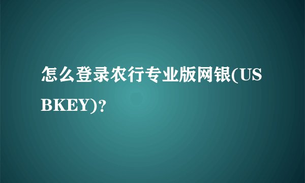 怎么登录农行专业版网银(USBKEY)？
