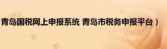 青岛国税网上申报系统 青岛市税务申报平台）