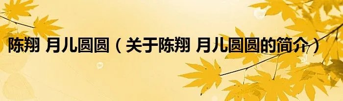 陈翔 月儿圆圆（关于陈翔 月儿圆圆的简介）