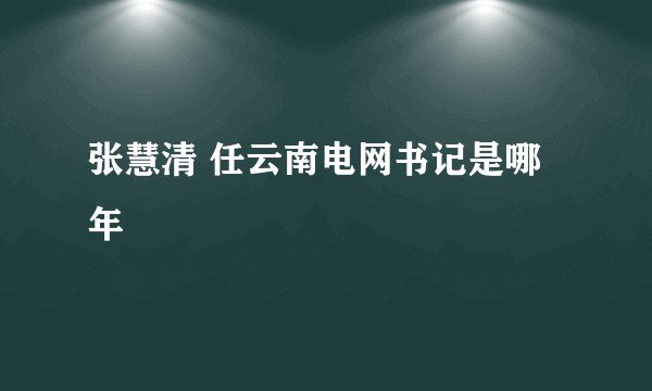 张慧清 任云南电网书记是哪年