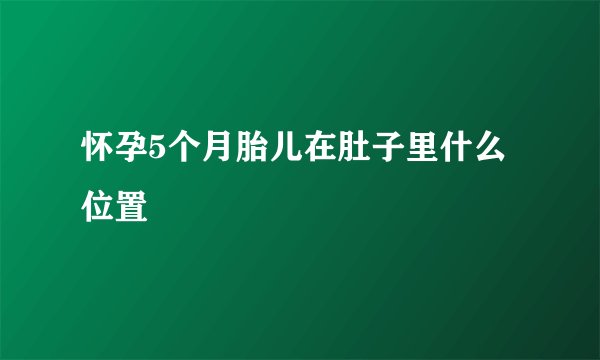 怀孕5个月胎儿在肚子里什么位置