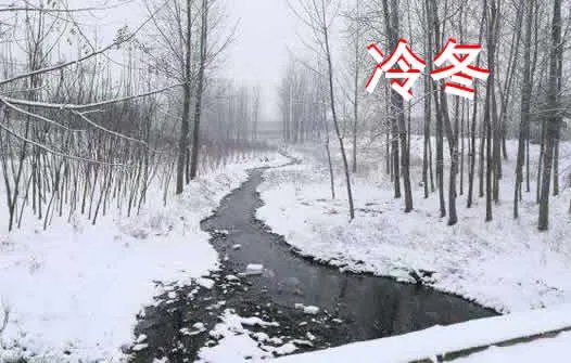 今冬冷冬概率为零：这究竟是什么情况？