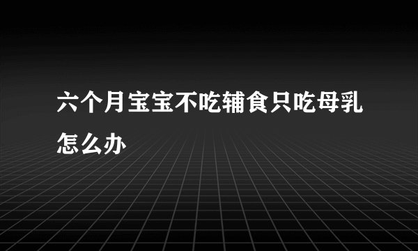 六个月宝宝不吃辅食只吃母乳怎么办