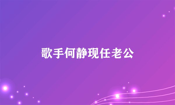 歌手何静现任老公
