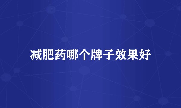 减肥药哪个牌子效果好
