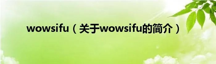 wowsifu(关于wowsifu的简介)