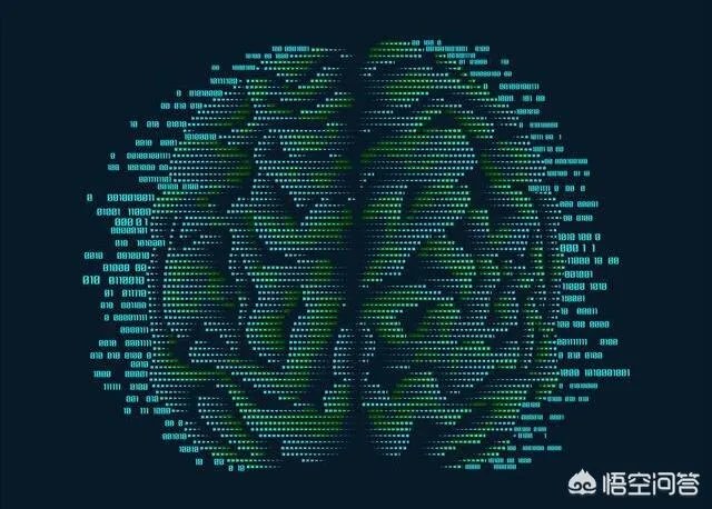 科学家成功复活死亡猪脑,意味着什么?