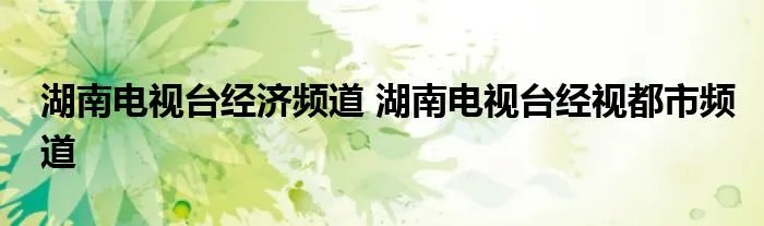 湖南电视台经济频道 湖南电视台经视都市频道