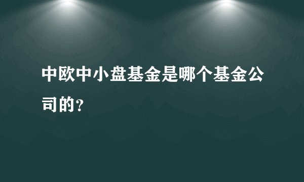 中欧中小盘基金是哪个基金公司的？
