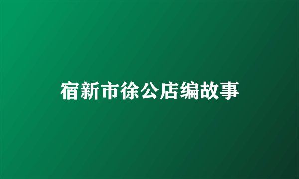 宿新市徐公店编故事