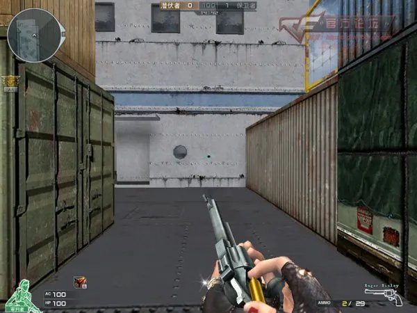 火线老枪新说 单点神器手枪Ruger Bisley
