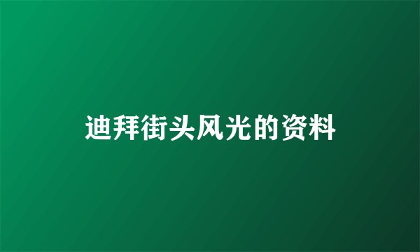 迪拜街头风光的资料