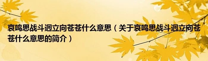 哀鸣思战斗迥立向苍苍什么意思(关于哀鸣思战斗迥立向苍苍什么意思的简介)